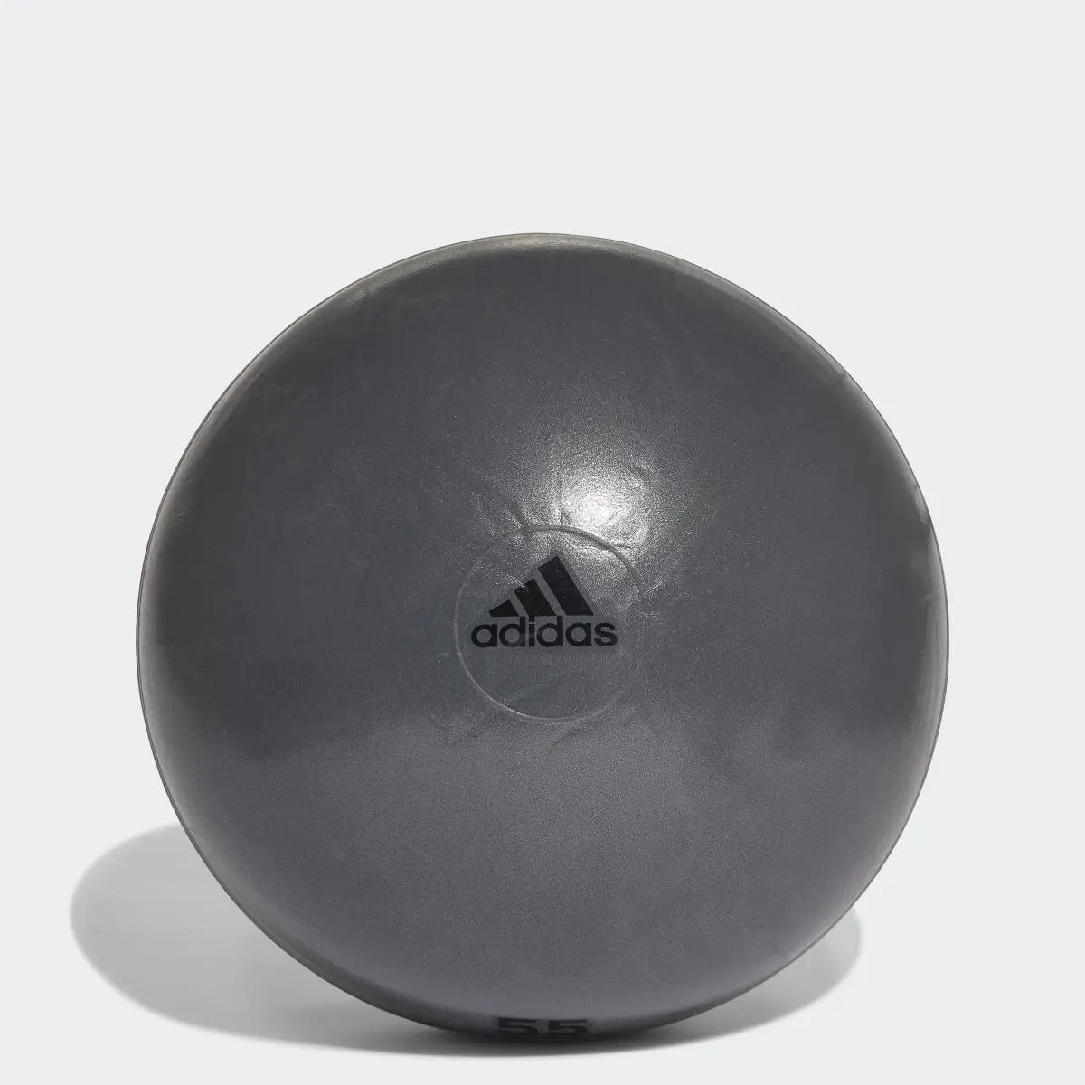 Adidas Gymball. 1