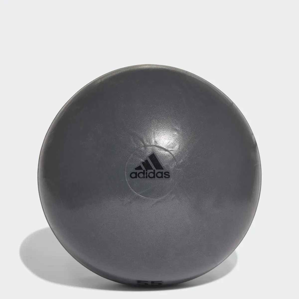 Adidas Ballon de gym 55 cm. 1