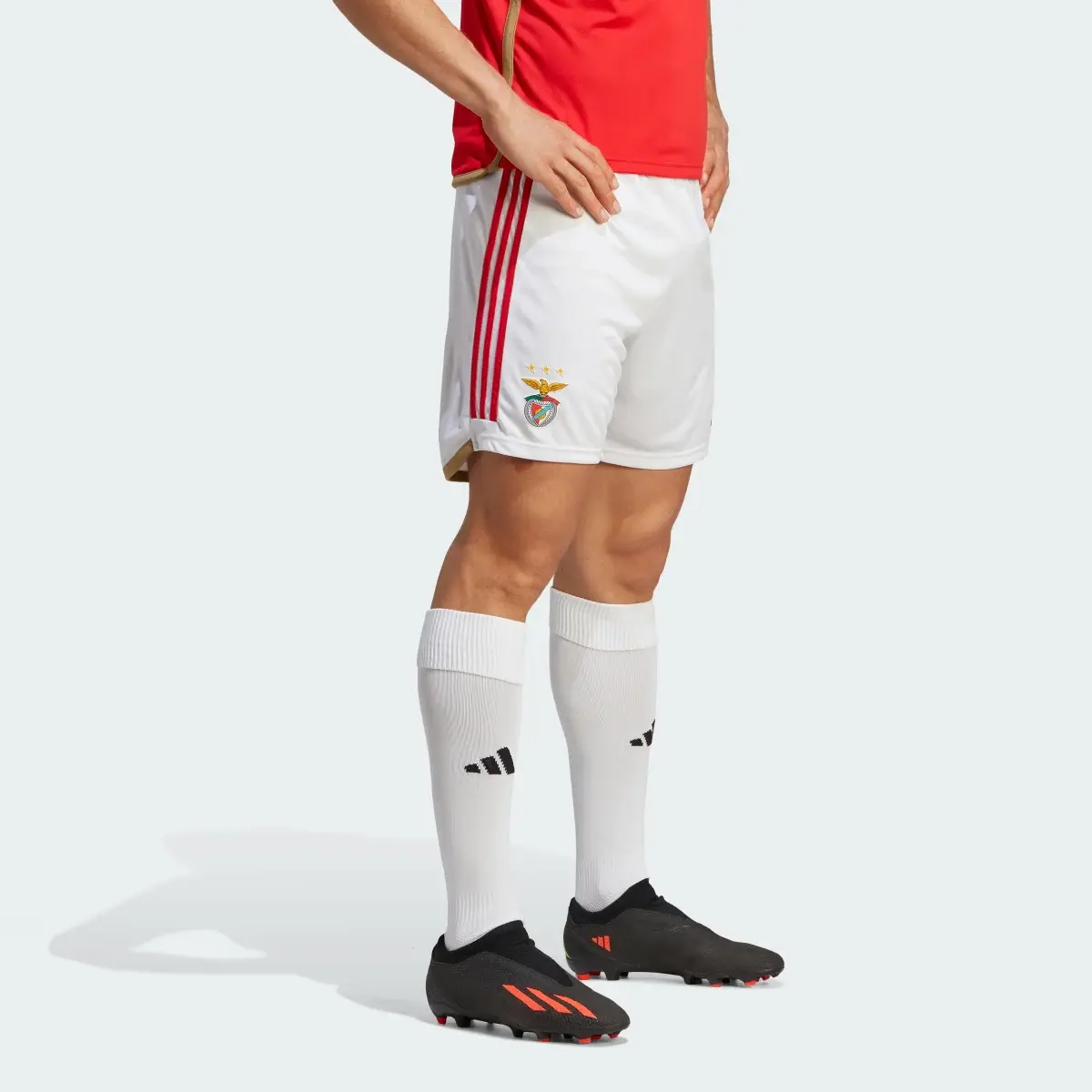 Adidas Benfica 23/24 Home Shorts. 1