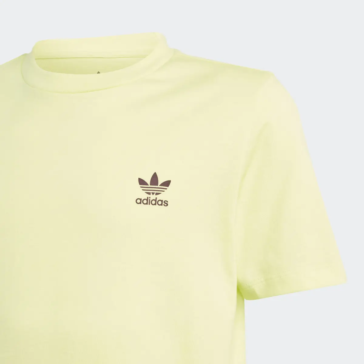 Adidas Playera Adicolor. 3