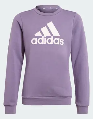 Adidas Essentials Big Logo Cotton Sweatshirt