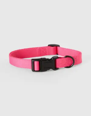 pink collar for dogs