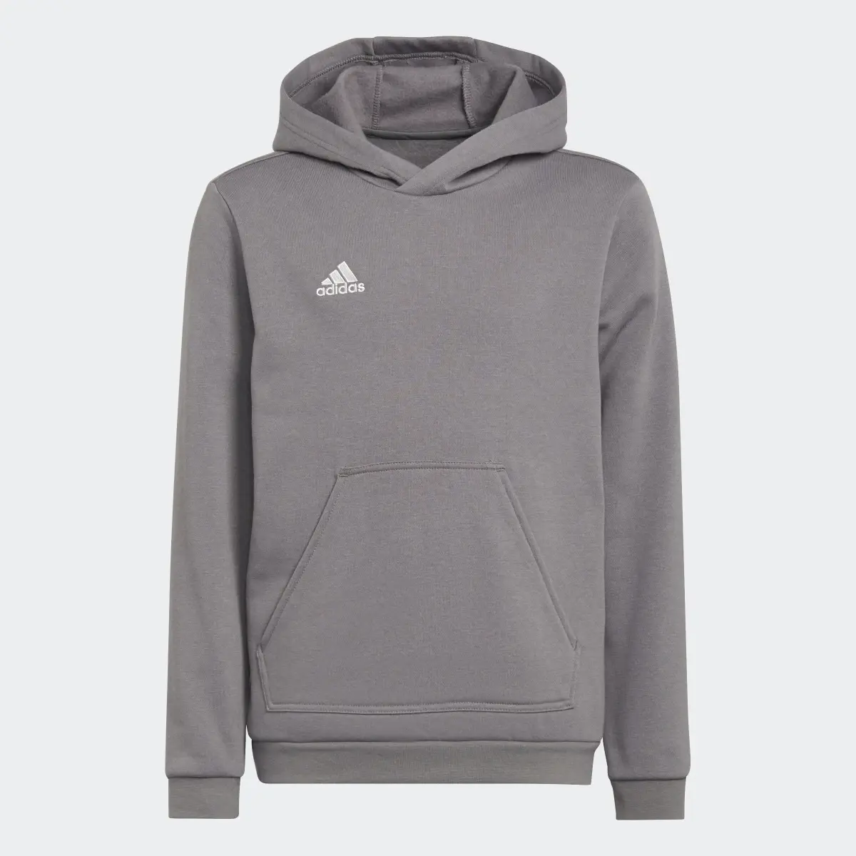 Adidas Entrada 22 Sweat Hoodie. 1