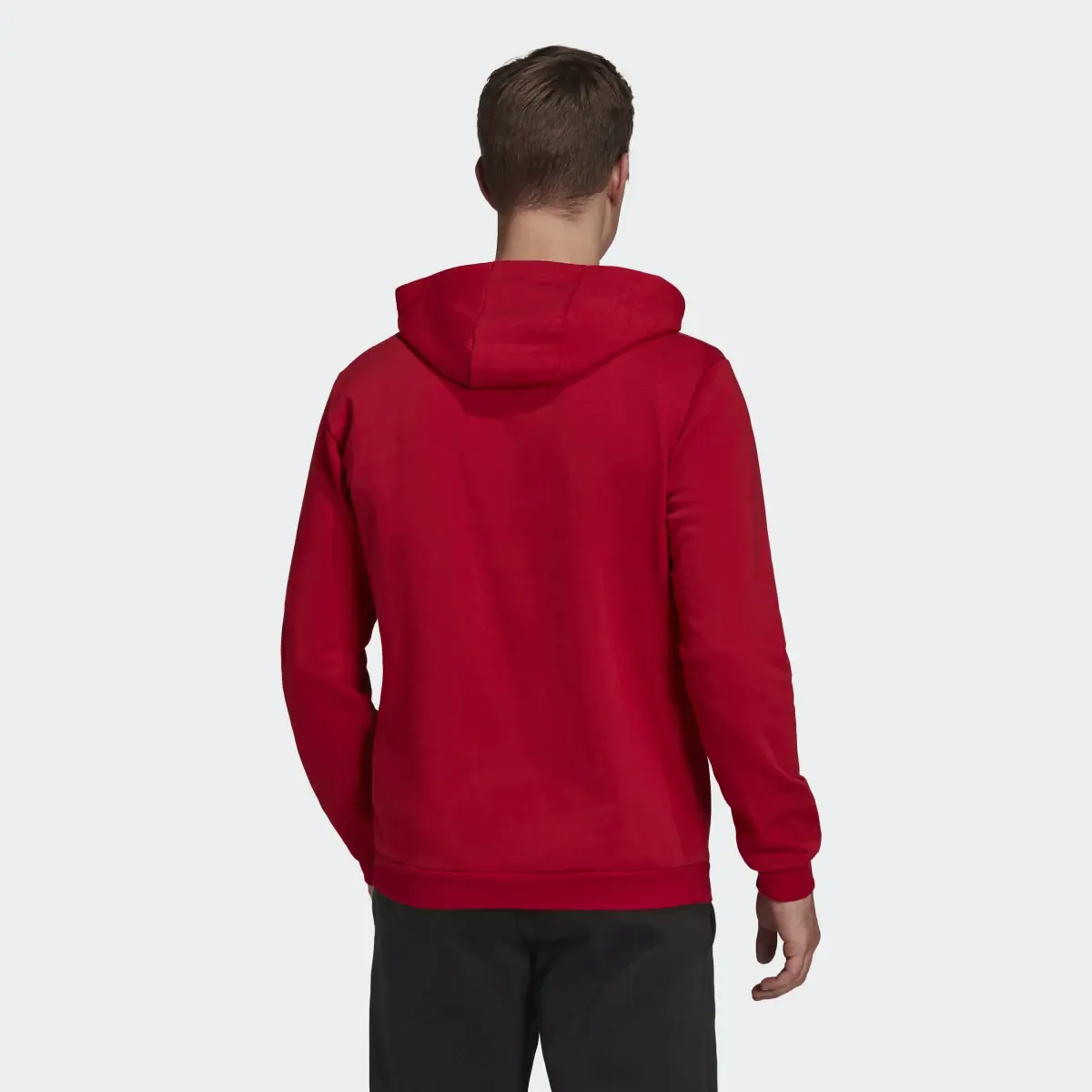 Adidas Entrada 22 Sweat Hoodie. 3