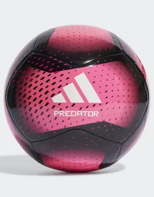 Predator Training Football
