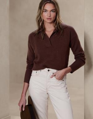 Banana Republic Luna Cashmere Sweater Polo brown