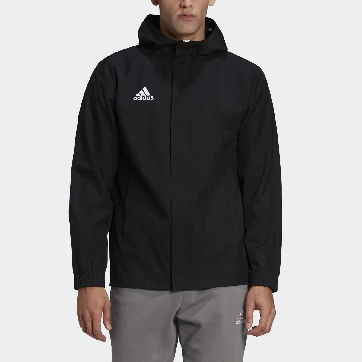 Adidas Entrada 22 All-Weather Jacket. 1