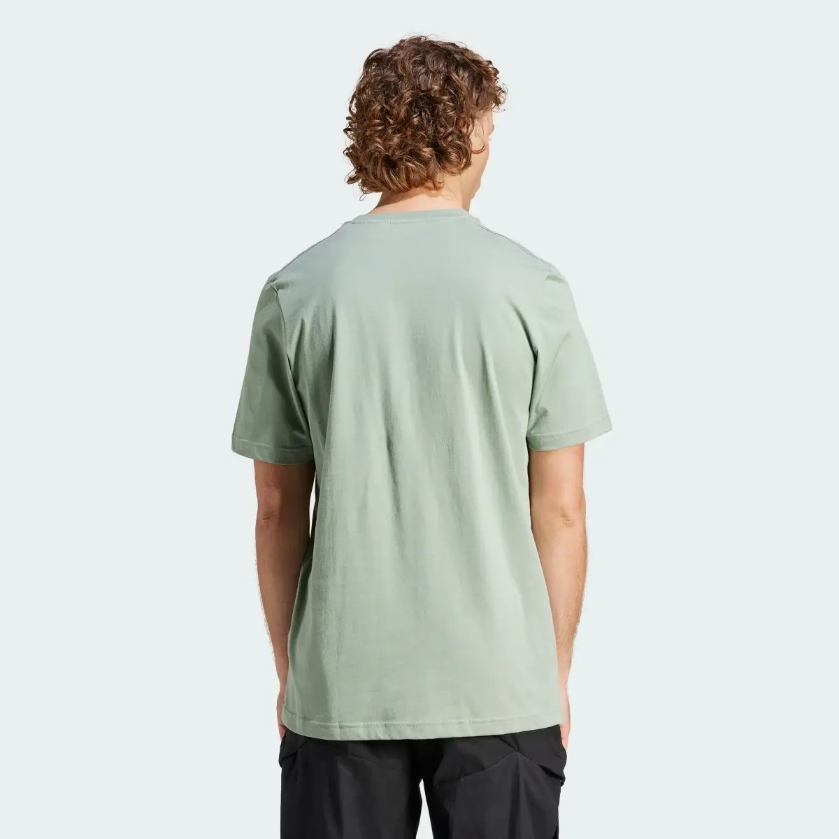 Adidas Terrex Classic Logo Tee. 3