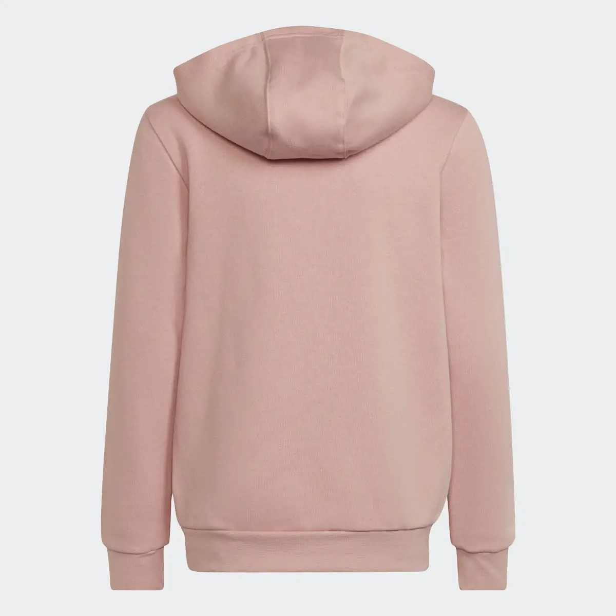 Adidas Adicolor Hoodie. 2