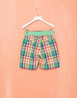 Green Plaid Shorts with Embroidery Detail