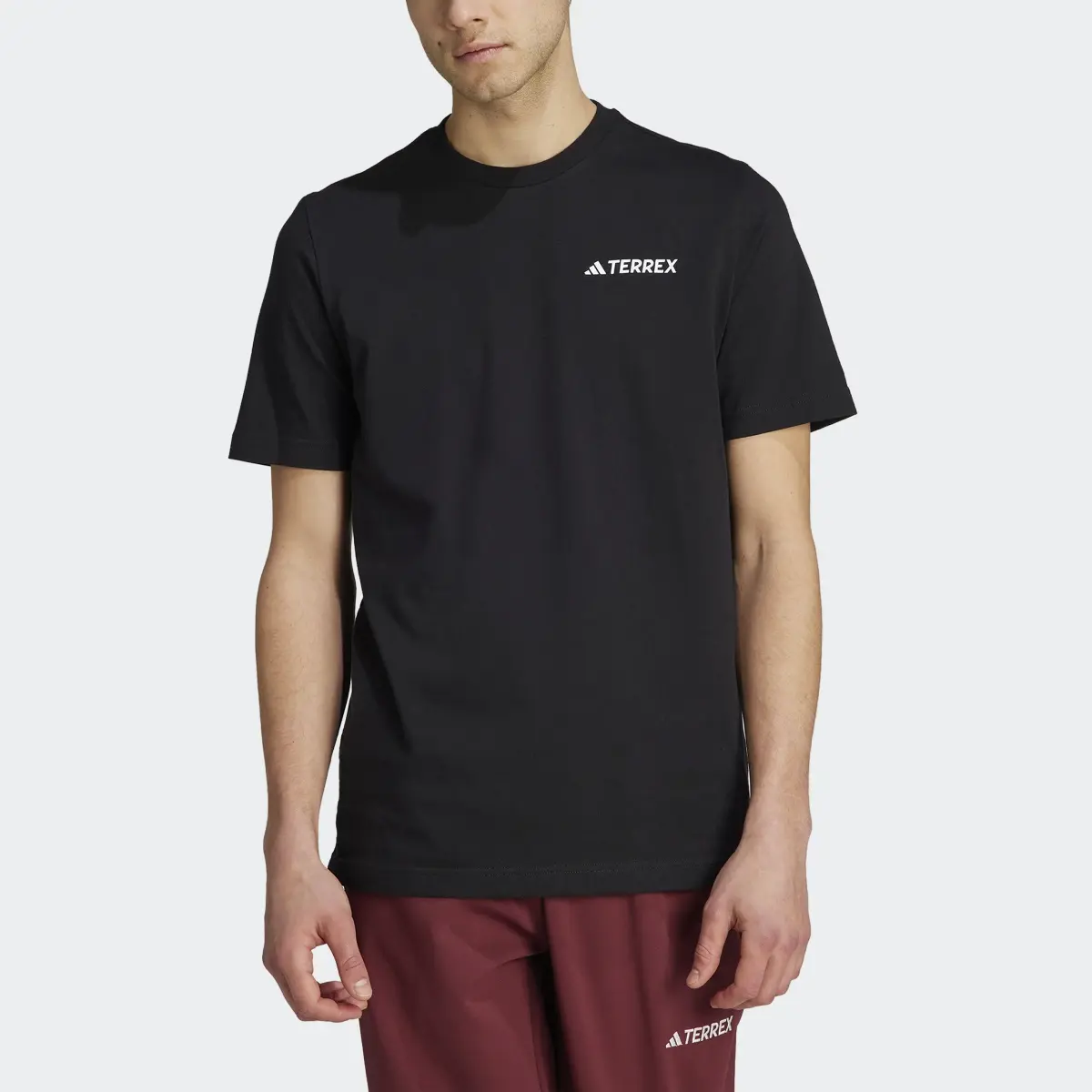 Adidas Terrex Graphic MTN 2.0 T-Shirt. 1