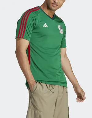 Playera Fan Selección Nacional de México