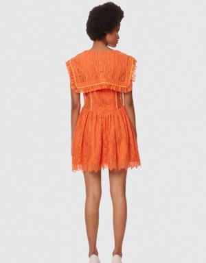 Coral Color Lace Dress
