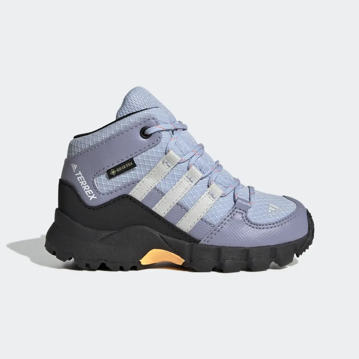 Adidas Botas Mid GTX TERREX. 2