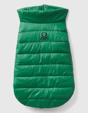 green padded jacket for dogs