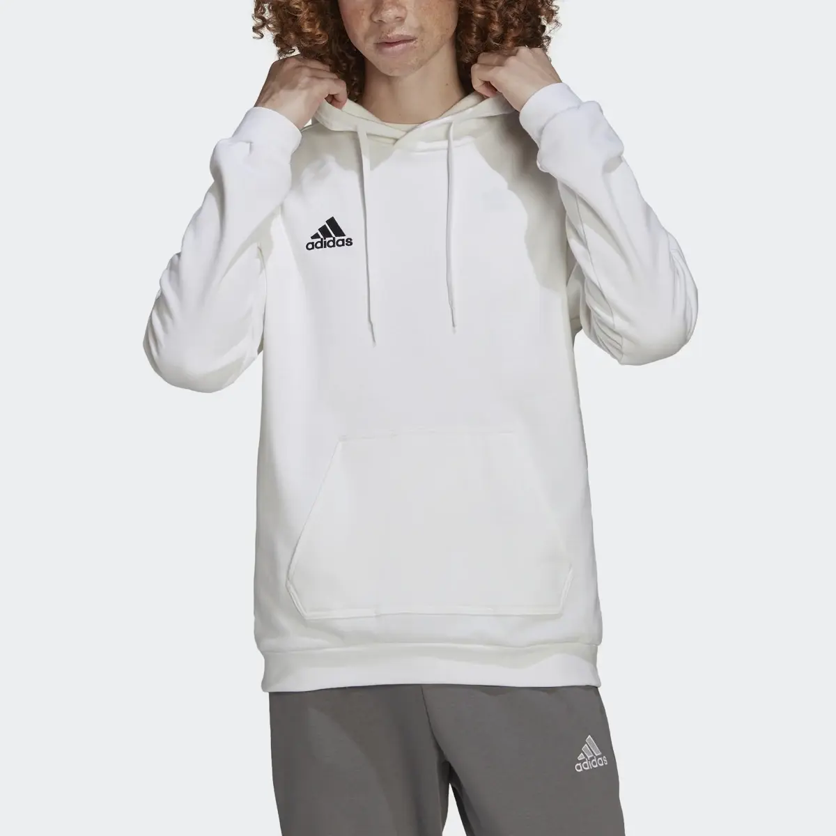 Adidas Entrada 22 Sweat Hoodie. 1