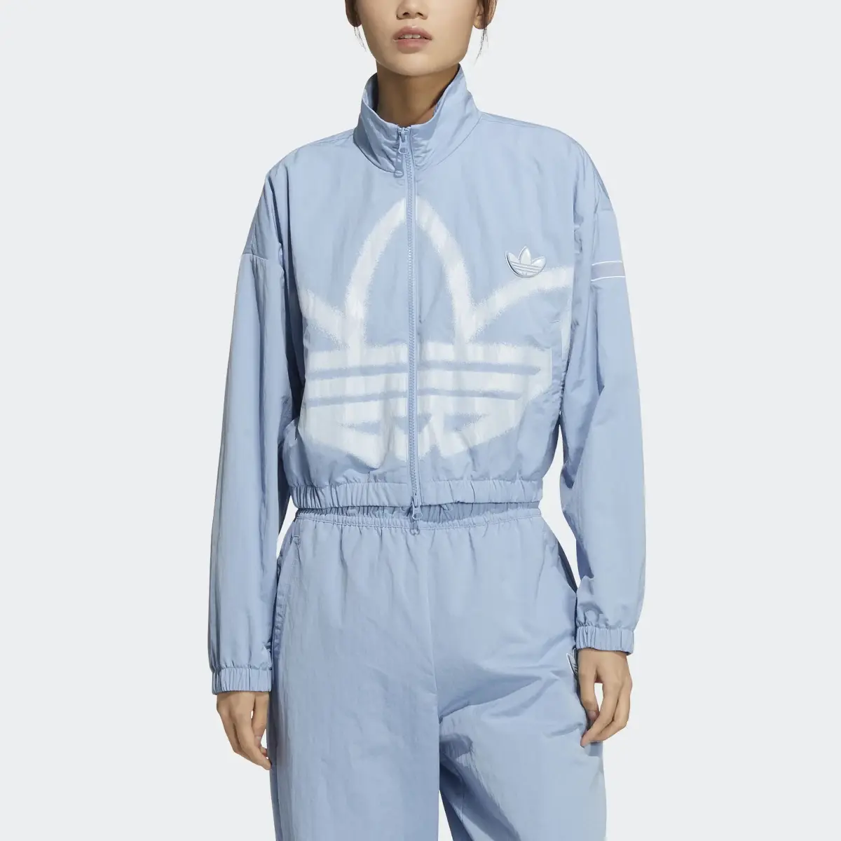 Adidas Adicolor Track Jacket. 1