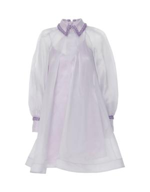 Transparent Detailed Purple Mini Dress