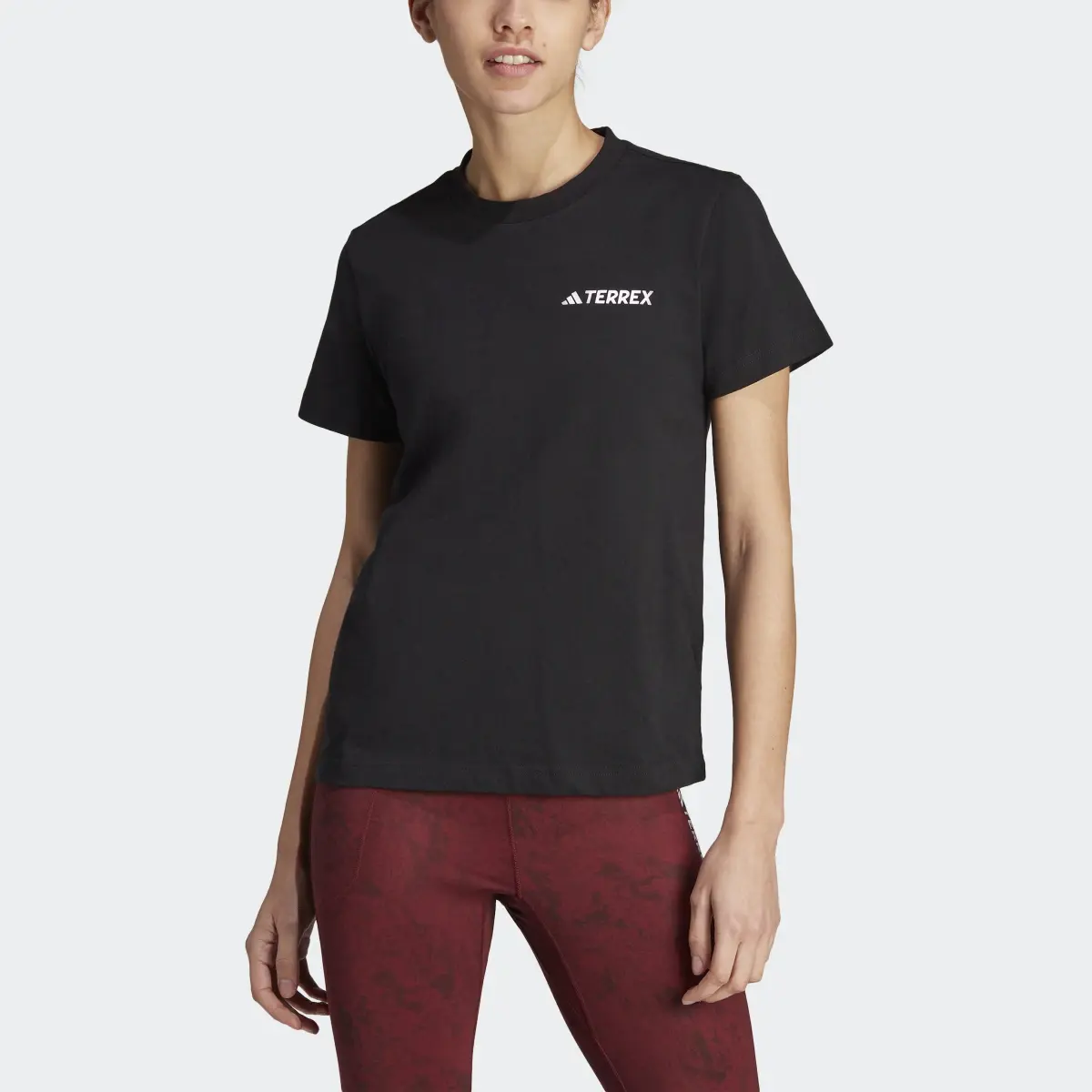 Adidas T-shirt Terrex Graphic Altitude. 1