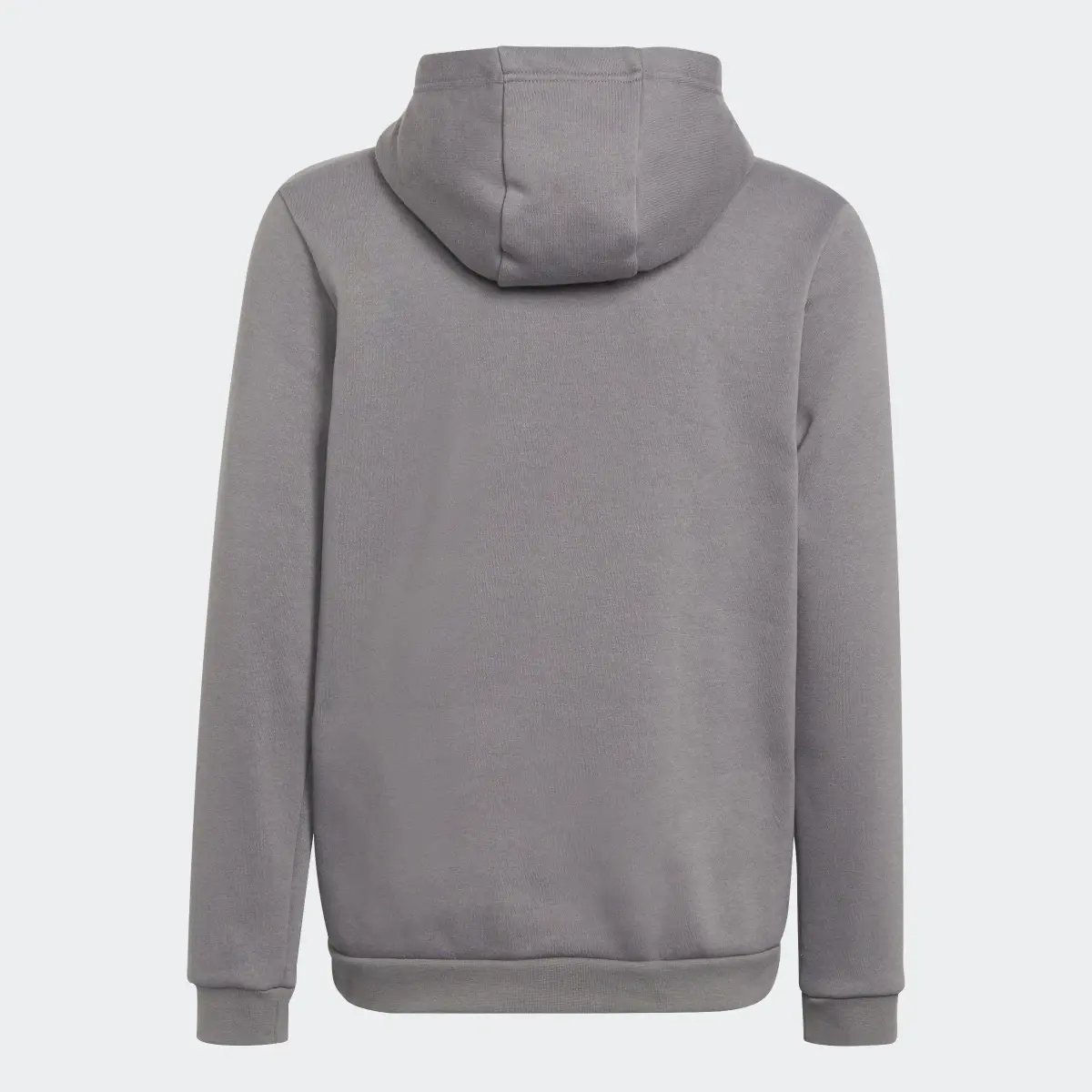 Adidas Entrada 22 Sweat Hoodie. 2