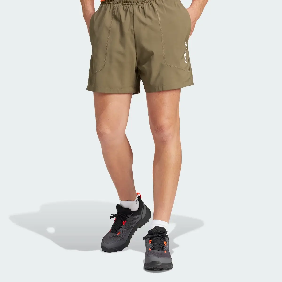 Adidas Terrex Multi Shorts. 1