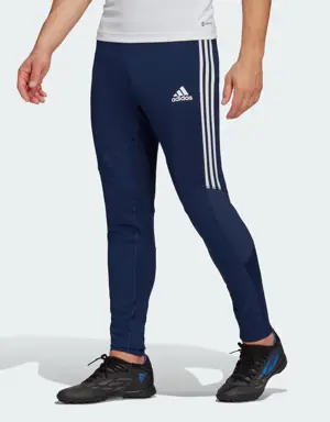 Adidas Condivo 22 Pants