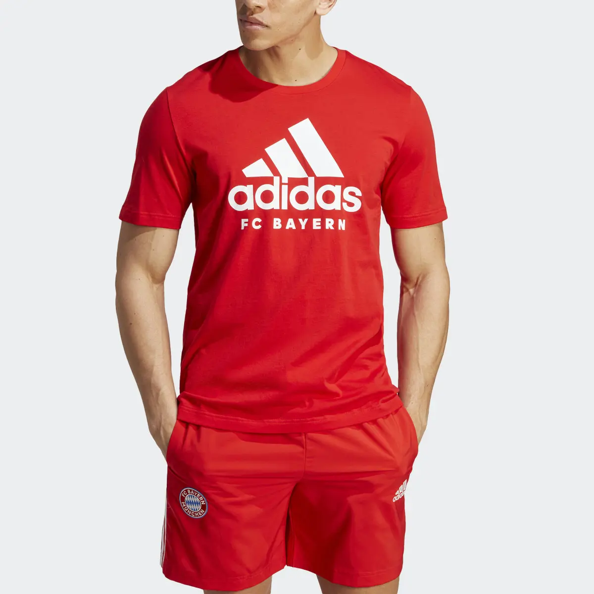 Adidas FC Bayern München DNA Graphic T-Shirt. 1