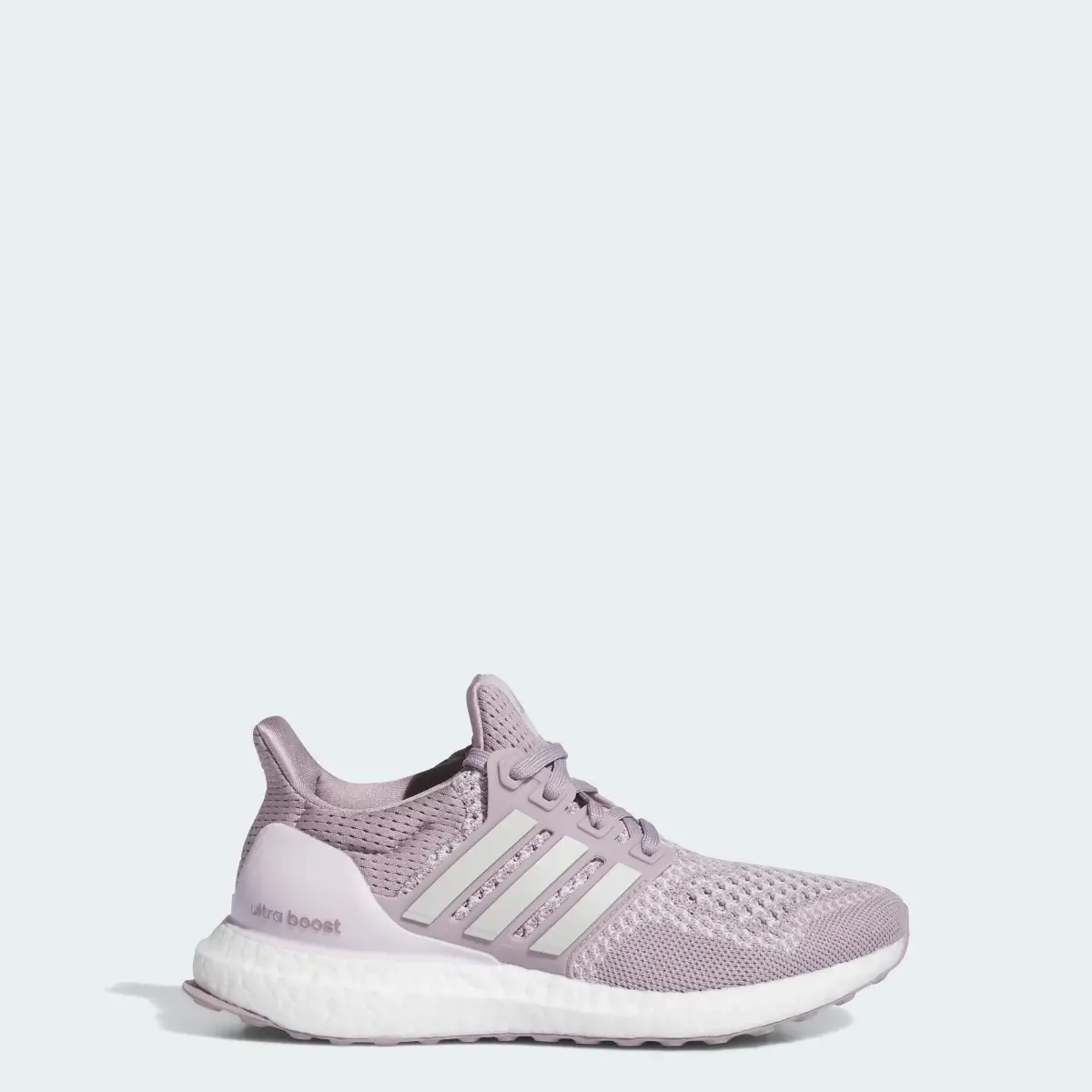 Adidas Ultraboost 1.0 Ayakkabı. 1