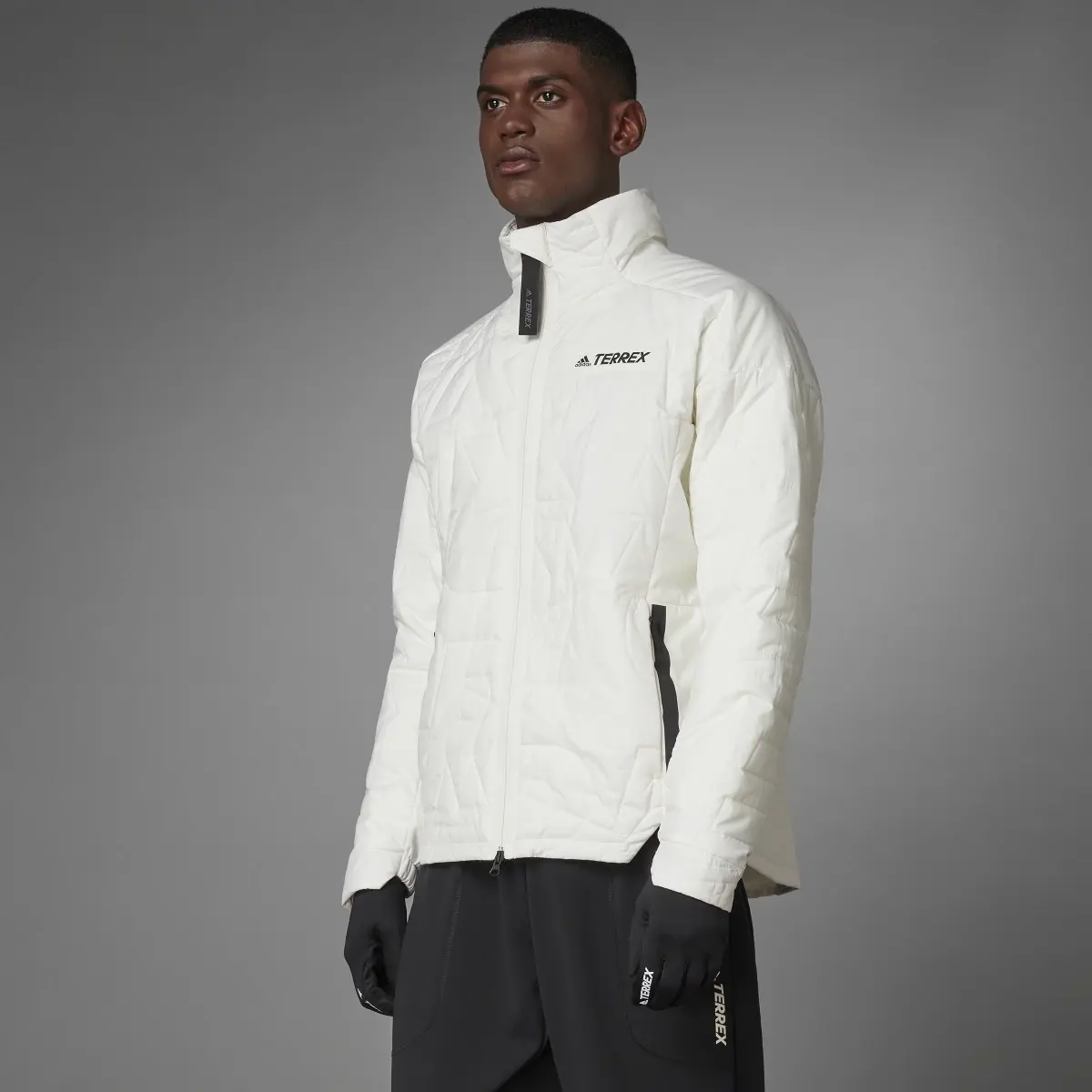 Adidas Terrex MYSHELTER PrimaLoft Parley Padded Jacket. 1