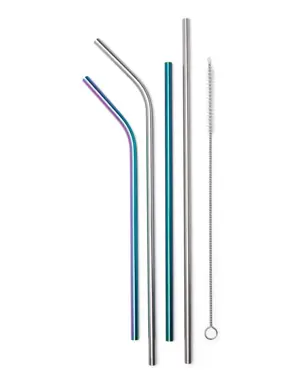 Stainless Straw Set with Cleaning Brush