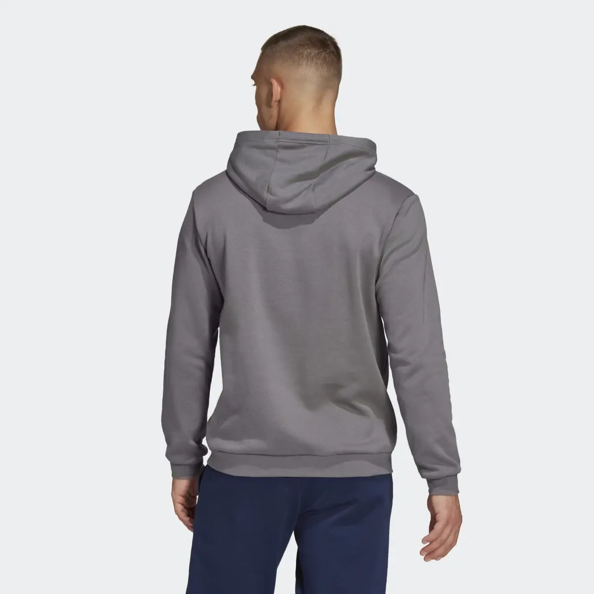 Adidas Entrada 22 Sweat Hoodie. 3