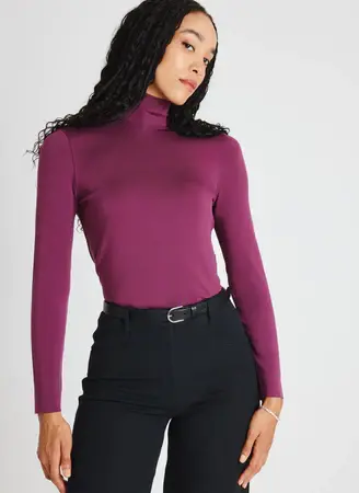 Kit And Ace Upgrade Brushed Turtleneck. 1