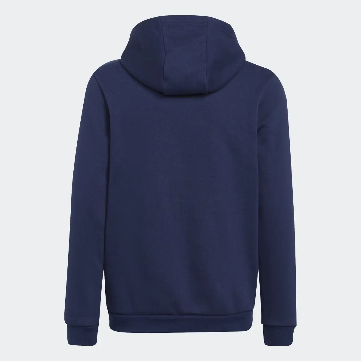 Adidas Entrada 22 Sweat Hoodie. 2