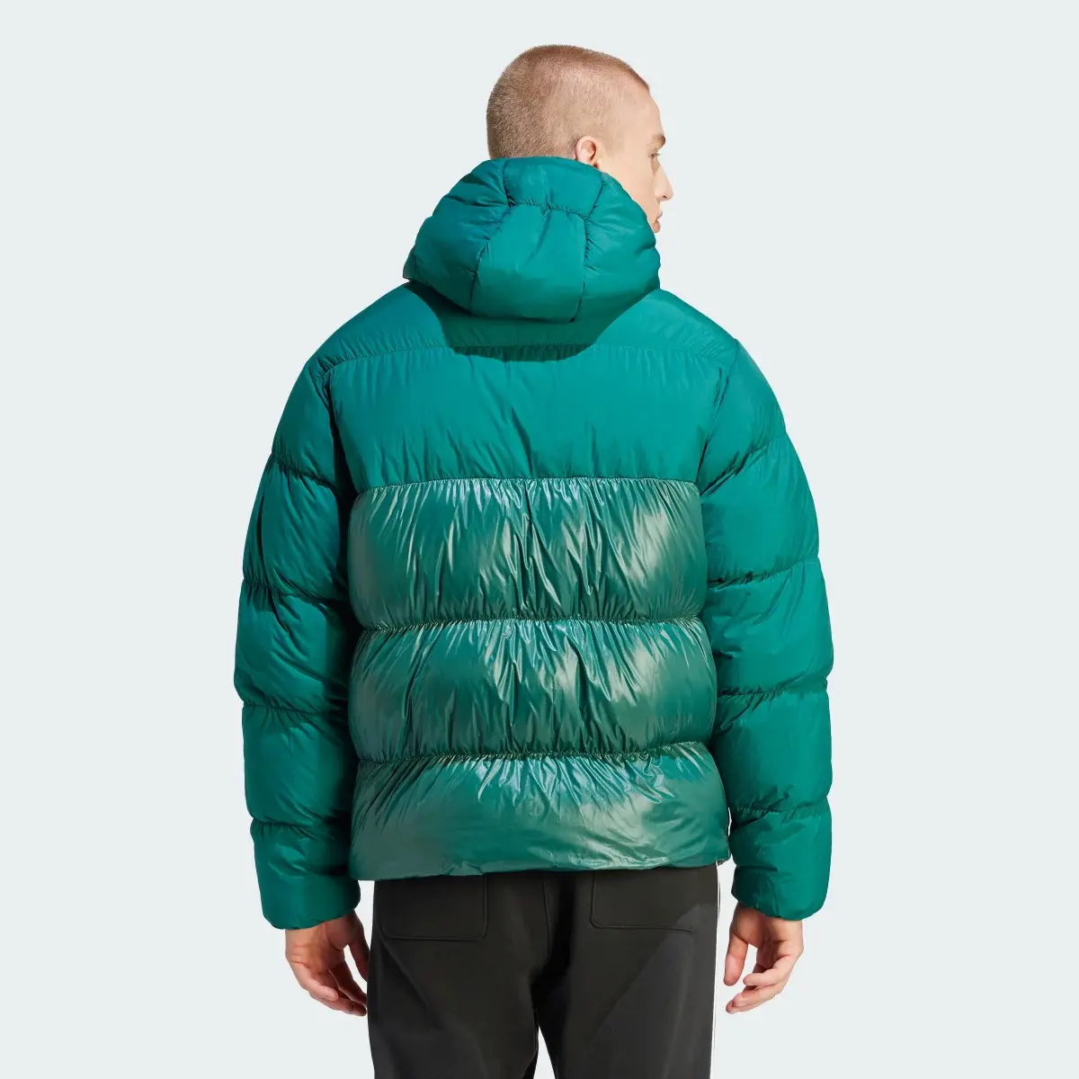 Adidas adicolor Down Regen Hooded Puffer Jacke. 3