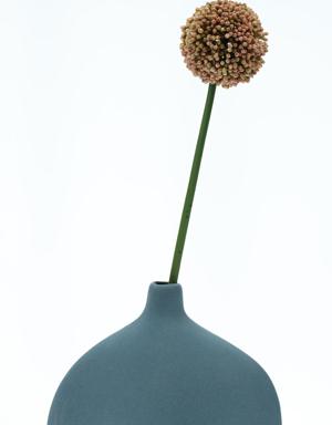 Allium - Soğan Çiçeği