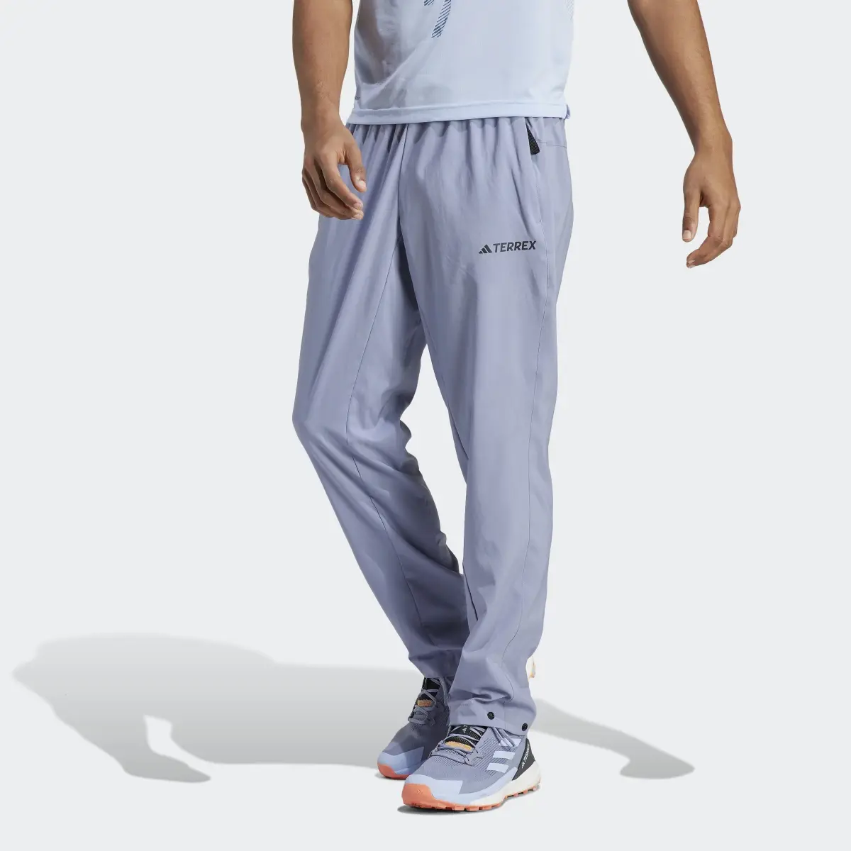 Adidas Terrex LiteFlex Pants. 1