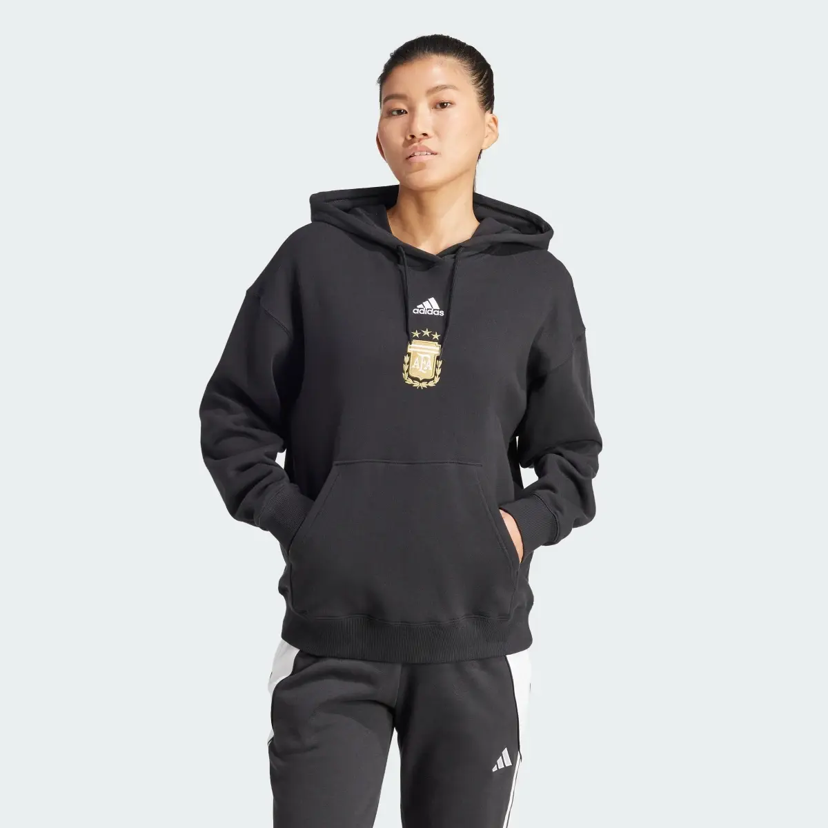 Adidas Argentina Hoodie. 2