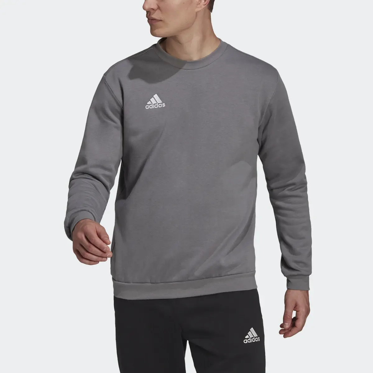 Adidas Sweat-shirt Entrada 22. 1