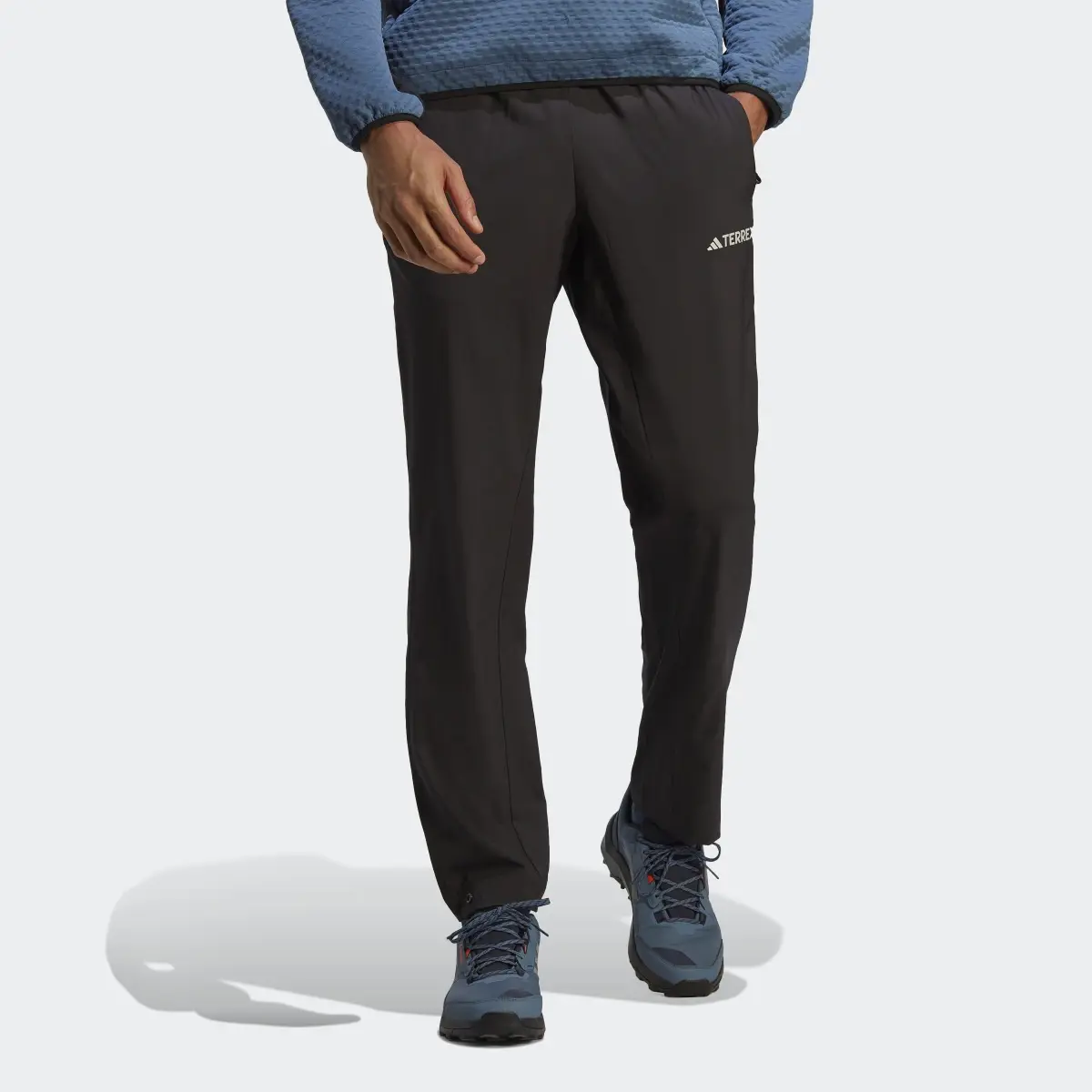 Adidas Terrex LiteFlex Pants. 1