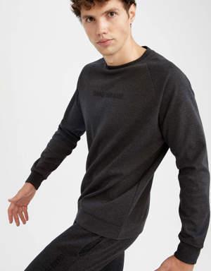 Fit Standart Fit Bisiklet Yaka Geri Dönüşümlü Sweatshirt