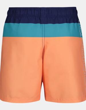 Little Boys' UA Triblock Logo Swim Volley Shorts