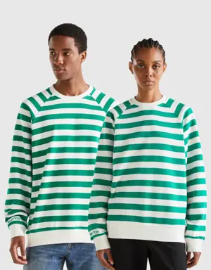 white and green striped sweatshirt