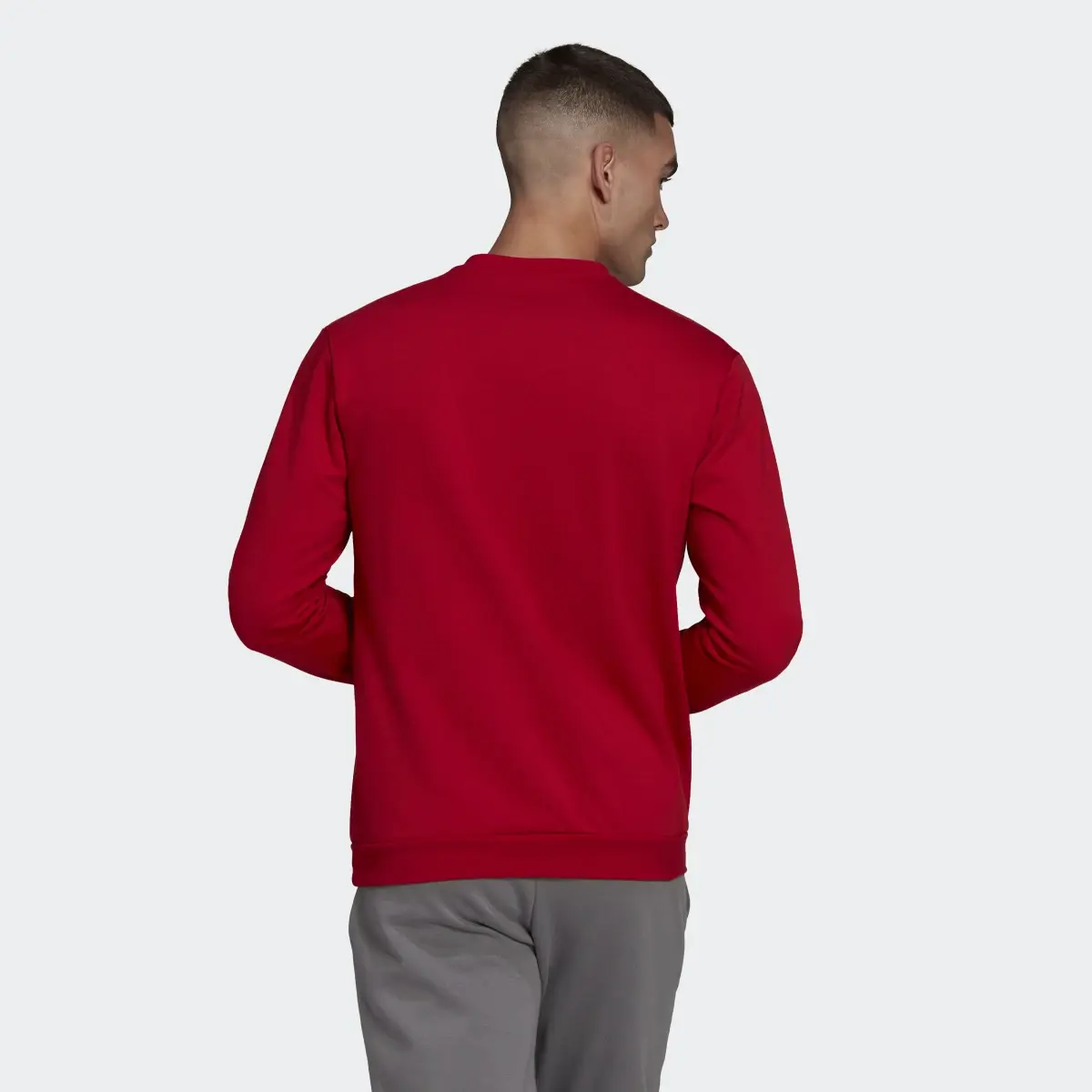 Adidas Entrada 22 Sweatshirt. 3