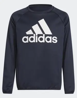 Adidas Designed To Move Big Logo Sweatshirt