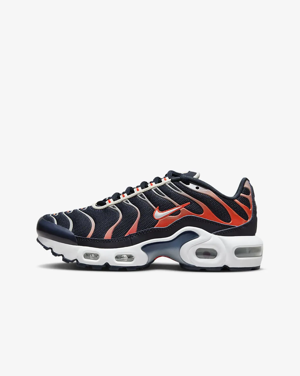 Nike Air Max Plus. 1