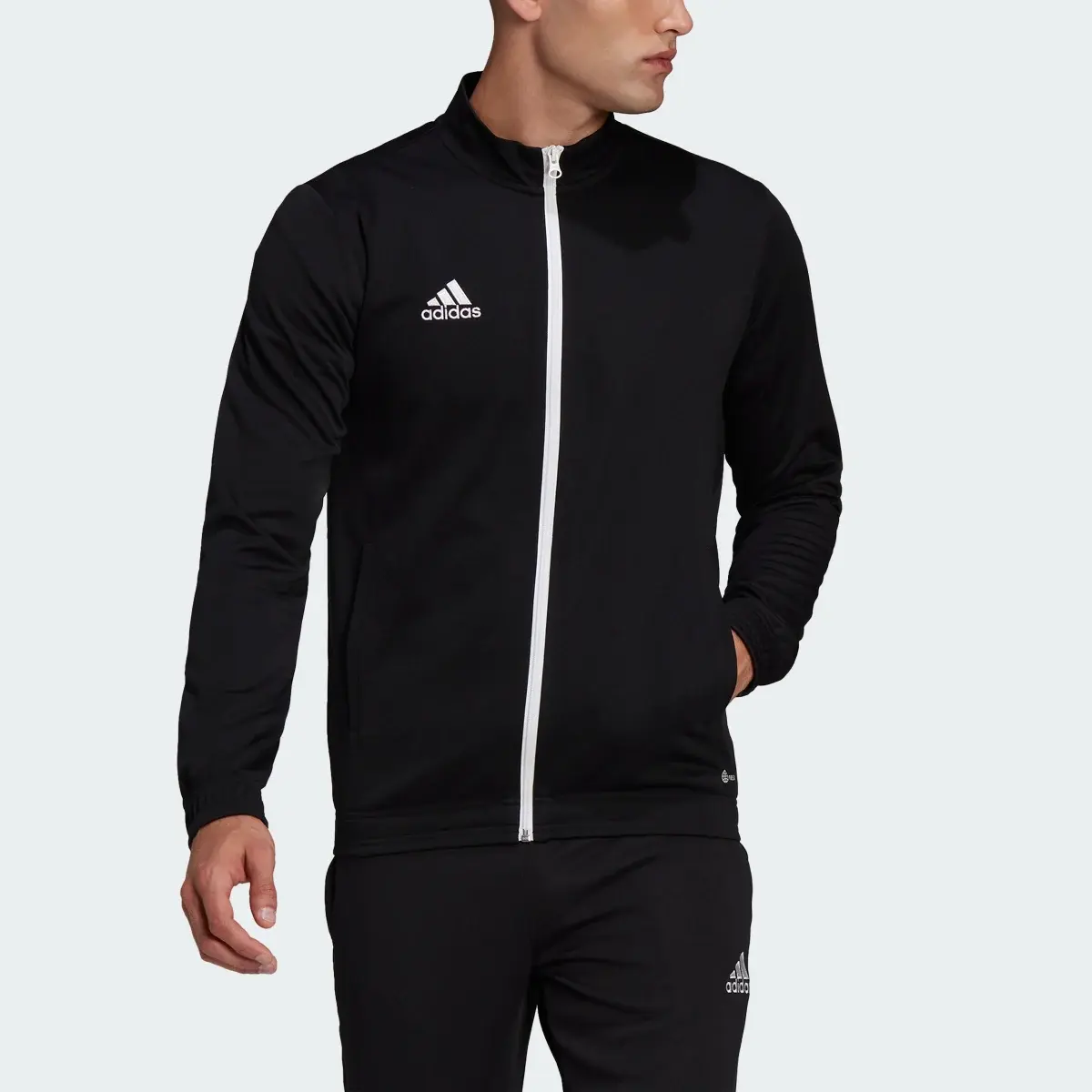 Adidas Giacca da allenamento Entrada 22. 1