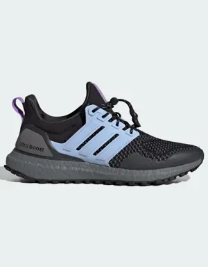 Ultraboost 1.0 Shoes