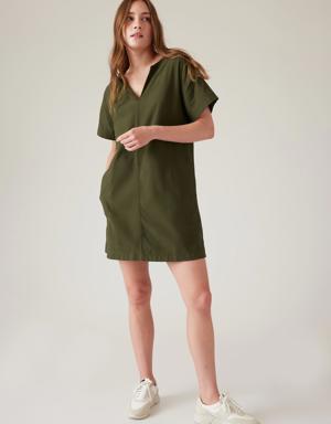Farallon Dress green