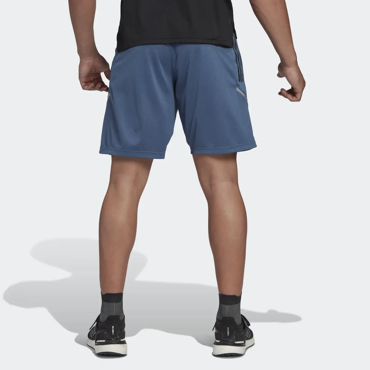 Adidas All Blacks Rugby Gym Shorts. 2