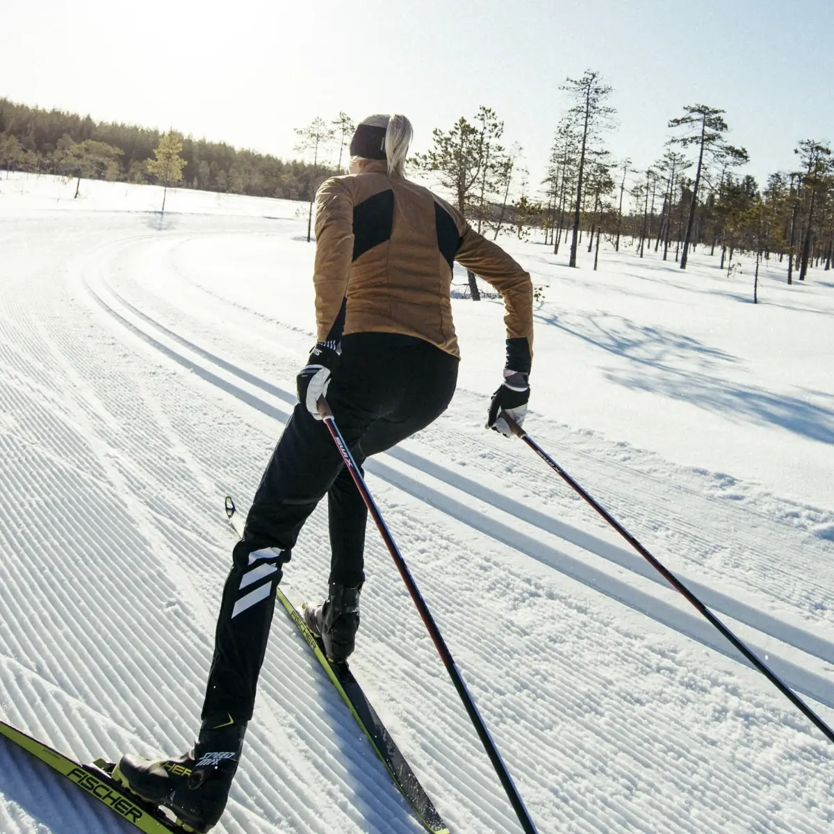 Adidas Terrex Xperior Cross-Country Ski Soft Shell Joggers. 3